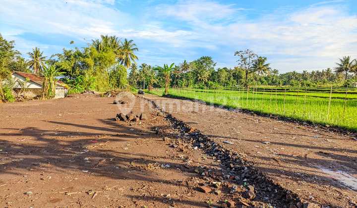SHM Ready Land Palagan 5 Minutes to Rejodani Market Ready to Build