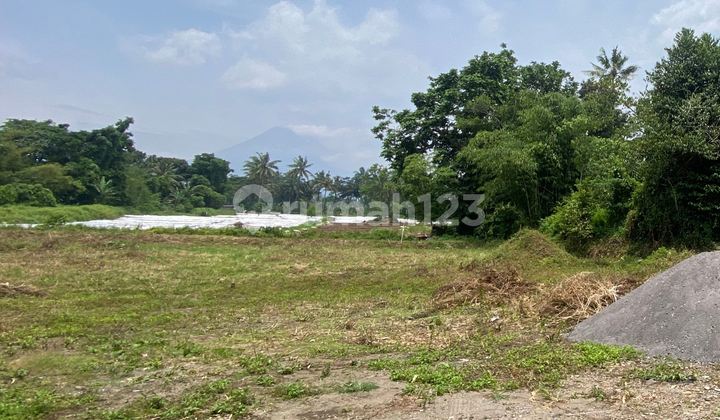 SHM Land at Jakal KM 16 Near UII Campus, 3 Minutes to Pakem Market SHM Land at Jakal KM 16 Near UII Campus, 3 Minutes to Pakem Market