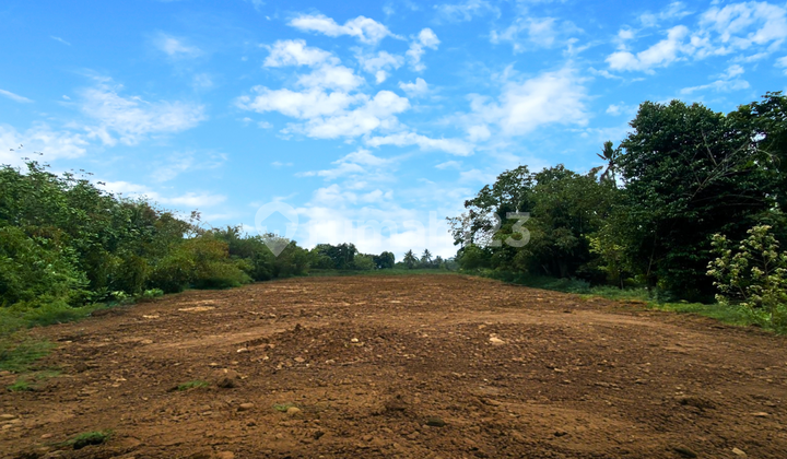 Tanah Investasi Jogja Utara Free Balik Nama Tanah Investasi Jogja Utara Free Balik Nama