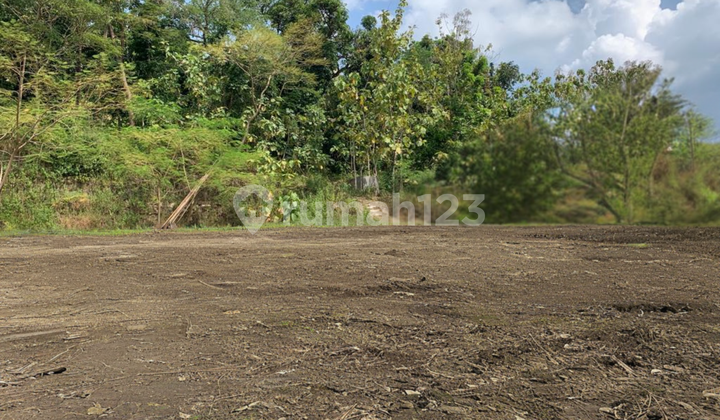 Tanah area gunung kidul jl raya wonosari dekat wisata 5jt/m