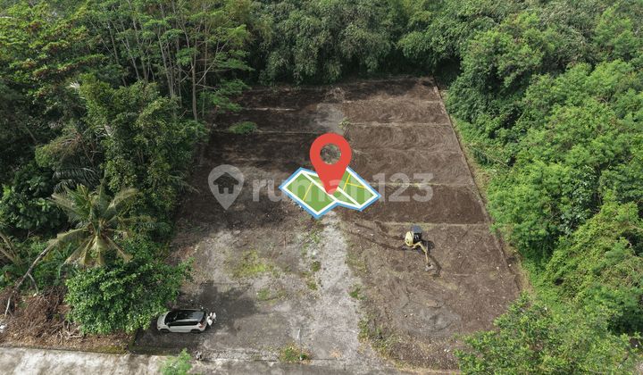 Sleman Land near Jl Maelang, Sleman Government Area, Ready for AJB Sleman Land near Jl Maelang, Sleman Government Area, Ready for AJB