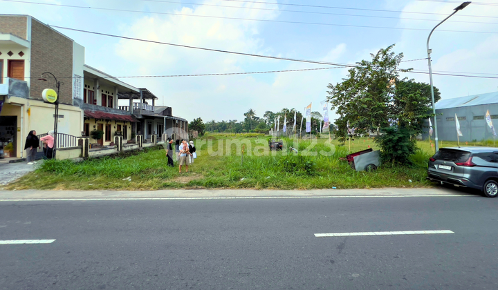 Tanah Palagan Area Pandowoharjo Utara Jejamuran Tanah Palagan Area Pandowoharjo Utara Jejamuran