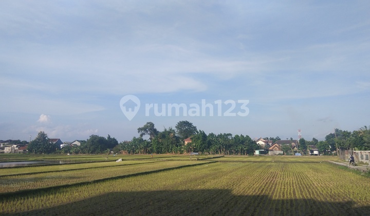 Yogyakarta Land Near Prambanan Market with Split Certificate