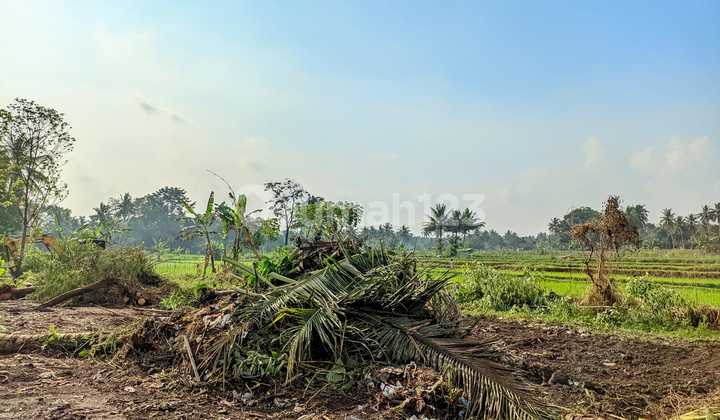 Tanah Siap AJB Area Pandowoharjo Dekat Jl Magelang-Jogja Tanah Siap AJB Area Pandowoharjo Dekat Jl Magelang-Jogja