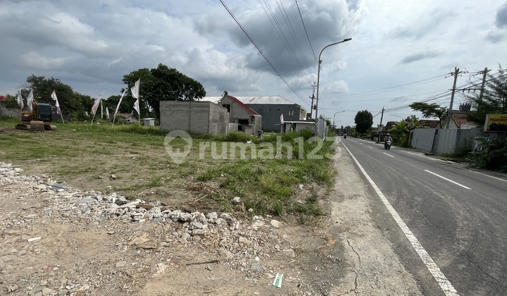 Promo bisa Tempo Tanah Palagan Mangku Jl Pandowoharjo Shmp Promo bisa Tempo Tanah Palagan Mangku Jl Pandowoharjo Shmp