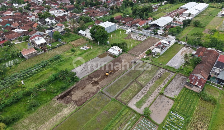 Tanah SHM Sleman Area Pandowoharjo Utara Jejamuran Tanah SHM Sleman Area Pandowoharjo Utara Jejamuran