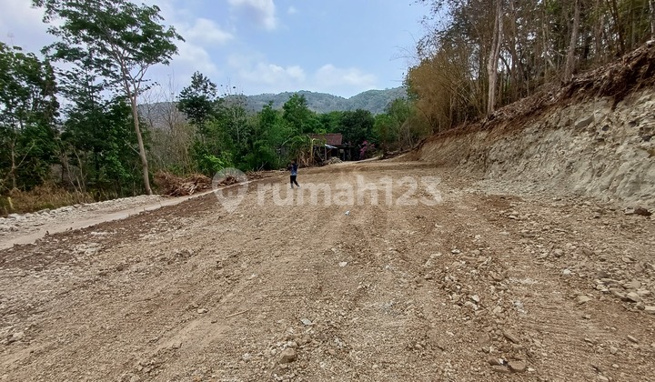 Tanah SHM Bantul Area Pleret Dekat RS Nur Hidayah Tanah SHM Bantul Area Pleret Dekat RS Nur Hidayah