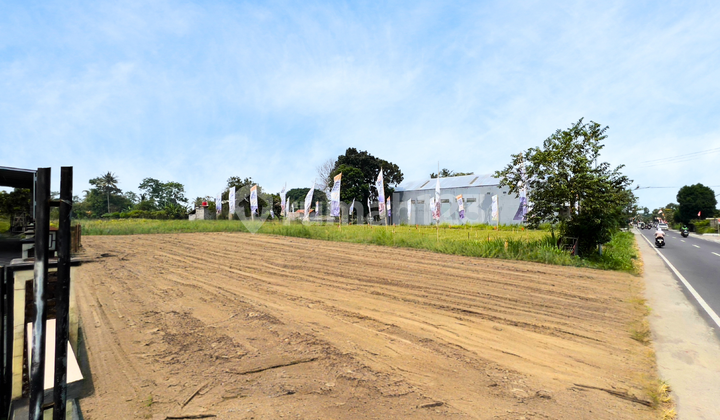 5 Menit Jejamuran Tanah SHM Tepi Jl. Pandowoharjo 5 Menit Jejamuran Tanah SHM Tepi Jl. Pandowoharjo