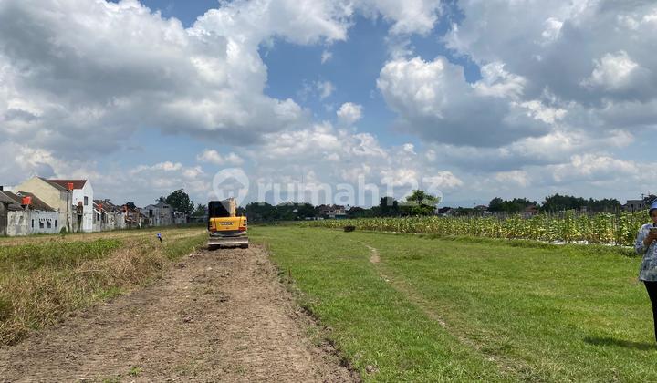 Tanah Pekarangan Siap Bangun Belakang Al Azhar Ringroad Barat Tanah Pekarangan Siap Bangun Belakang Al Azhar Ringroad Barat
