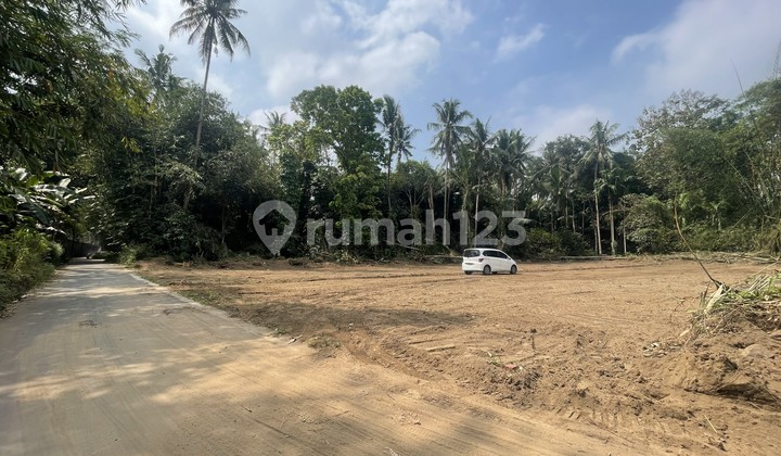 Bisa Tempo Tanah Dekat Jl. Magelang 3 Menit Pasar Sleman Bisa Tempo Tanah Dekat Jl. Magelang 3 Menit Pasar Sleman