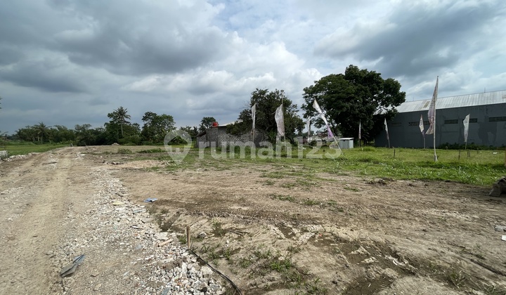 Promo bisa Tempo Tanah Palagan Mangku Jl Pandowoharjo Shmp Promo bisa Tempo Tanah Palagan Mangku Jl Pandowoharjo Shmp