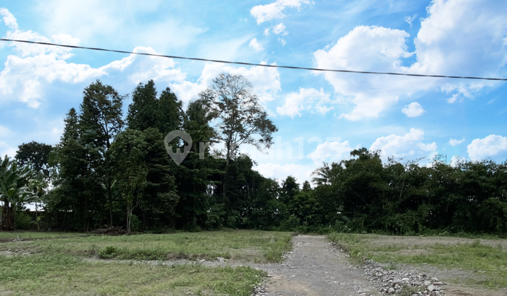 Tanah Kalasan Area Selomartani Dekat Stadion Maguwoharjo Tanah Kalasan Area Selomartani Dekat Stadion Maguwoharjo