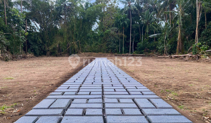 Bisa Tempo, Tanah Murah Jogja Kawasa Pemda Sleman SHMP 