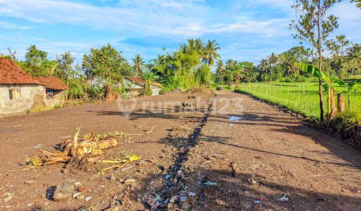 Tanah Siap AJB Area Jl Magelang-Palagan Utara Jejamuran Resto