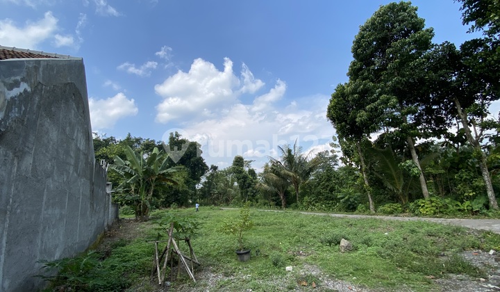 Tanah Sleman Siap AJB Area Jangkang Dekat Pppg Kesenian