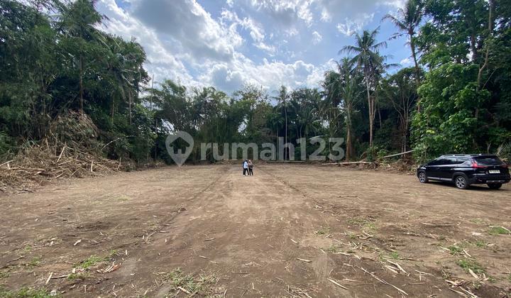 Land for Sale in Jogja, Magelang St., Near Sleman Regency Government Office.