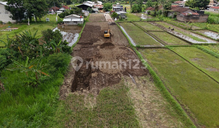 SHM Land in Sleman by Pandowoharjo Road, Near Jejamuran Resto