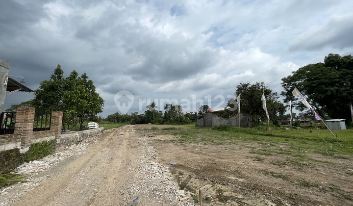 Tanah SHM bisa Tempo Mangku Jl Pandowoharjo Tanah SHM bisa Tempo Mangku Jl Pandowoharjo