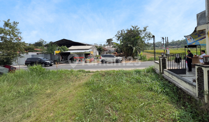 Tanah Palagan SHM Mangku Jl Pandowoharjo Shmp Tanah Palagan SHM Mangku Jl Pandowoharjo Shmp