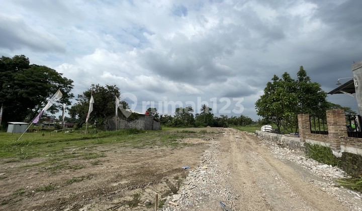 Jogja Palagan Mangku Land, Pandowoharjo Street, Approximately