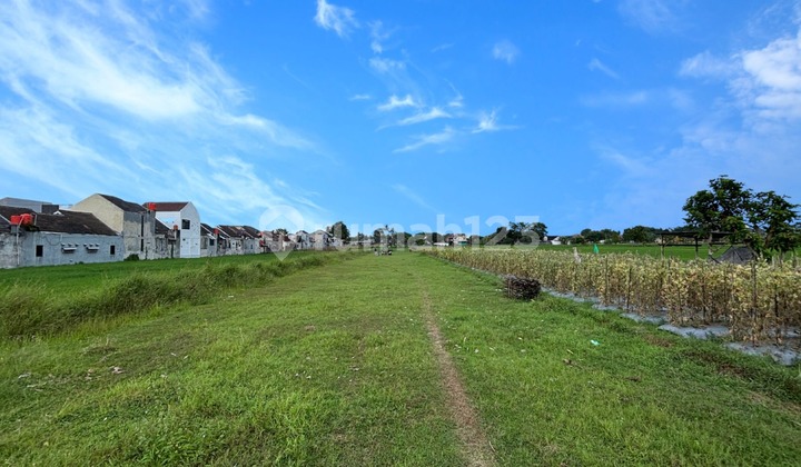 Affordable Land in Jogja with SHM, Yard, 5 Minutes to PKU Gamping, 2 Million/m² Affordable Land in Jogja with SHM, Yard, 5 Minutes to PKU Gamping, 2 Million/m²