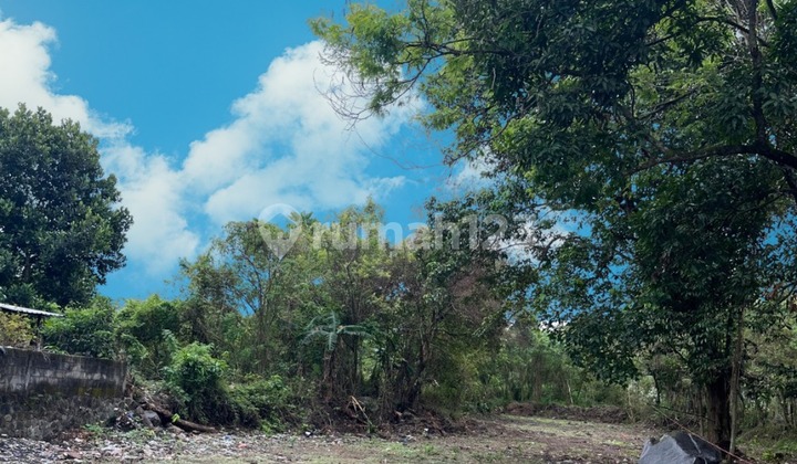 Tanah Kavling Sleman Mulai 2 Jt-an, 400 Meter Pasar Rejodani Tanah Kavling Sleman Mulai 2 Jt-an, 400 Meter Pasar Rejodani