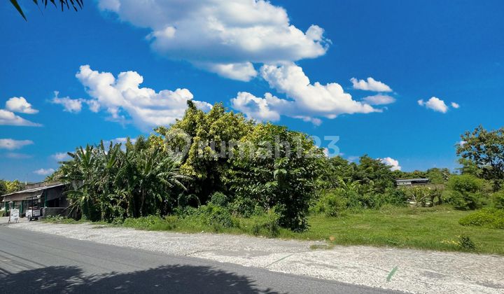 Tanah Pekarangan SHM Banguntapan, Cocok untuk Hunian Harga Nego