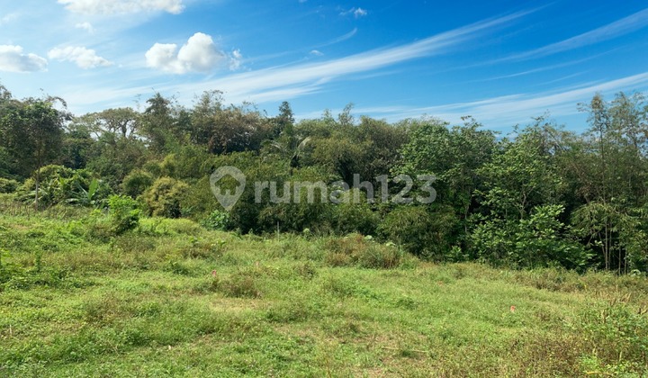 Tanah Kavling Green Victoria Kaliurang, 7 Menit Kampus UII Pusat Tanah Kavling Green Victoria Kaliurang, 7 Menit Kampus UII Pusat