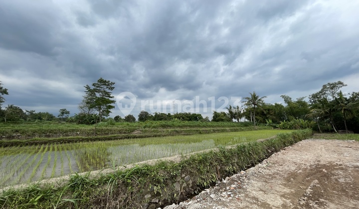 Freehold Land with Natural View on Jalan Pandowoharjo