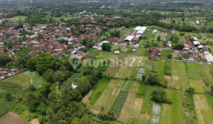 Sleman Land by Jl Pandowoharjo, Rice Field and Mountain View