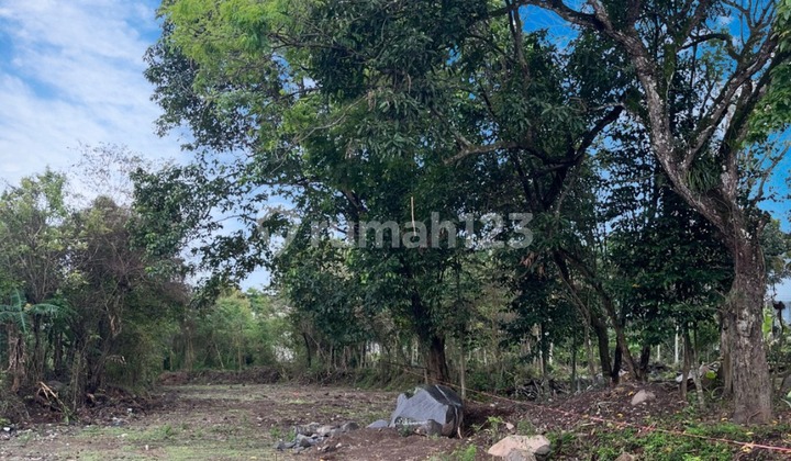 Tanah Murah Jogja Super Hemat 3 Jt-an/m² Dekat Tugu Jogja Tanah Murah Jogja Super Hemat 3 Jt-an/m² Dekat Tugu Jogja