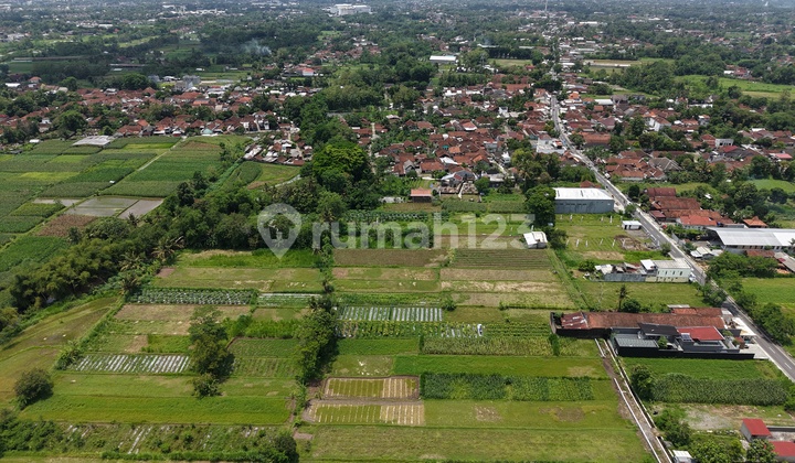 Tanah Strategis Green Palagan 3 Sleman, 2 Menit Dari Jejamuran Tanah Strategis Green Palagan 3 Sleman, 2 Menit Dari Jejamuran