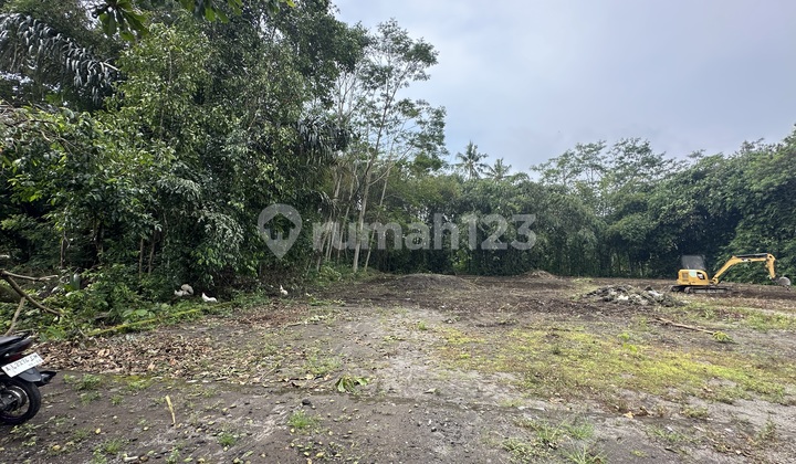 Tanah SHM di Sleman 5 Menit Sch, Akses Mudah Tanah SHM di Sleman 5 Menit Sch, Akses Mudah