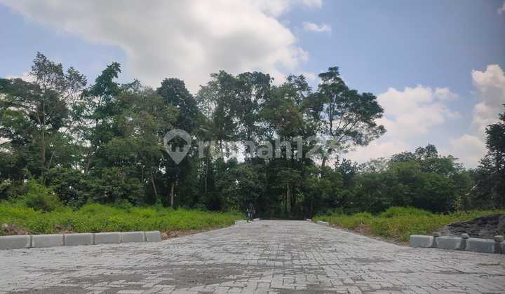 SHM Land Jogja Kalasan Around 2 Million/m² 5 Minutes to Sambisari Temple SHM Land Jogja Kalasan Around 2 Million/m² 5 Minutes to Sambisari Temple