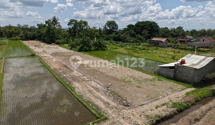 Strategic Land in Sleman 2 Minutes from Jejamuran Strategic Land in Sleman 2 Minutes from Jejamuran