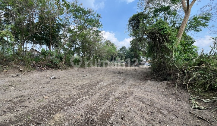 Tanah Kavling Sleman Mulai 2 Jt-an, 400 Meter Pasar Rejodan Tanah Kavling Sleman Mulai 2 Jt-an, 400 Meter Pasar Rejodan