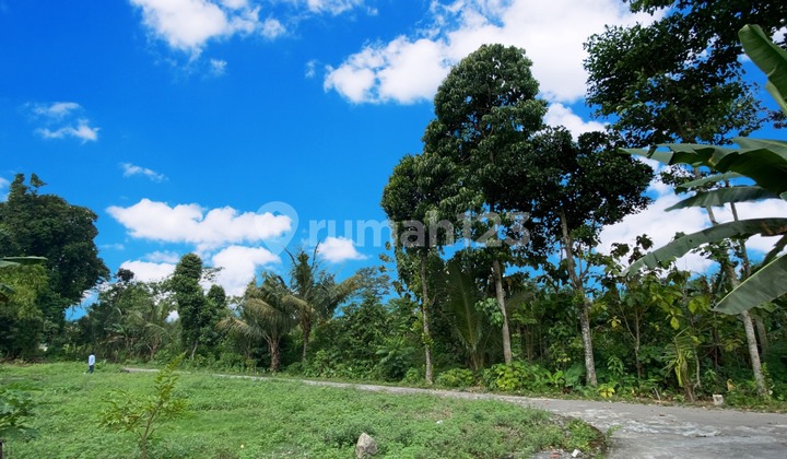 Tanah Murah Sleman Timur | Siap AJB, SHM Ready Cuma 2 Jutaan Tanah Murah Sleman Timur | Siap AJB, SHM Ready Cuma 2 Jutaan