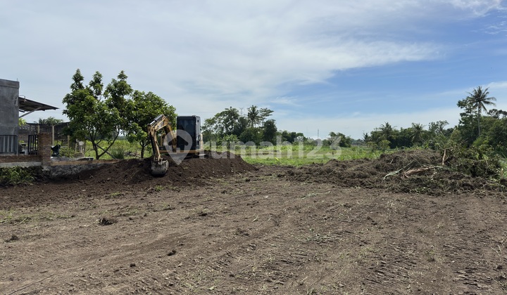 SHM Land in Sleman Palagan, Near School Only 5 Minutes, Edge of Jl Pandowoharjo