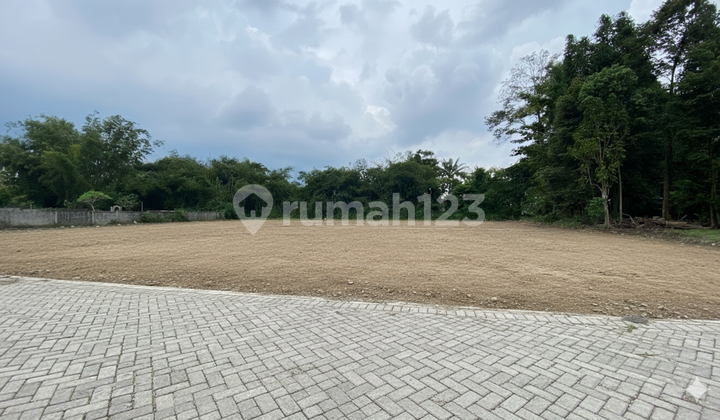 Tanah Sleman Timur SHM Pekarangan View Alam, 5 Menit Exit Tol Kalasan