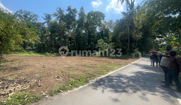  Tanah Strategis Sleman Jogja, Dekat Pemda Hanya 1 Jutaan/m²"
