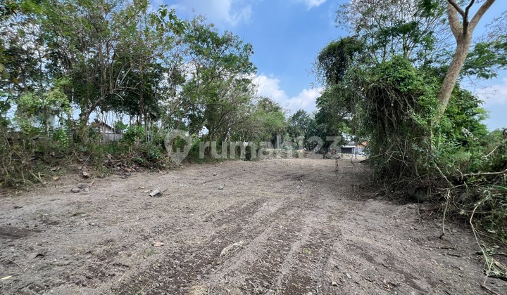 Tanah Sleman Murah – Best Deal Dekat Malioboro!