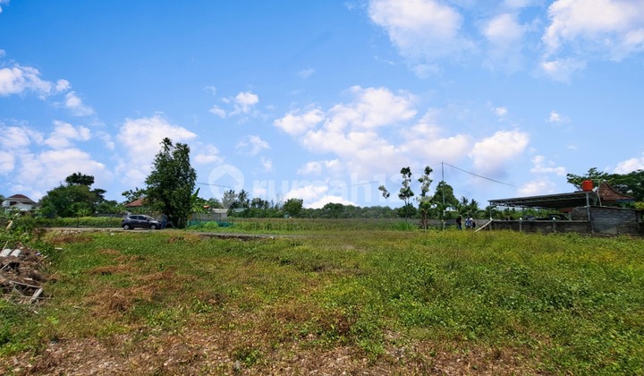 Jual Tanah Asri Jogja View Sawah & Gunung – SHMP