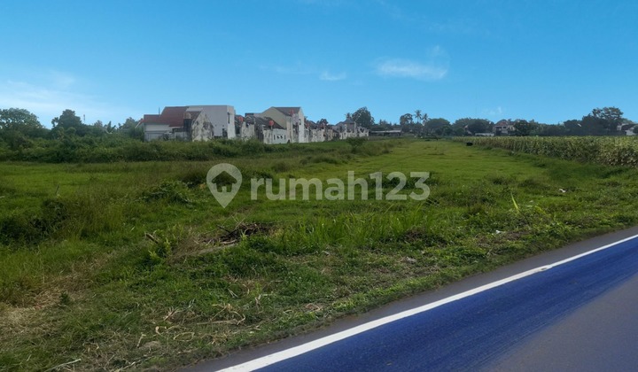 Tanah Sidoarum Sleman, 10 Menit Kampus UMY