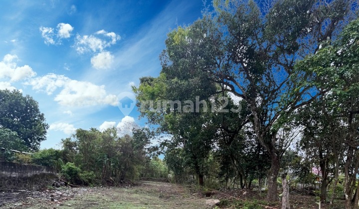 Tanah Murah Jogja Super Hemat 3 Jt-an/m² Dekat Tugu Jogja Tanah Murah Jogja Super Hemat 3 Jt-an/m² Dekat Tugu Jogja