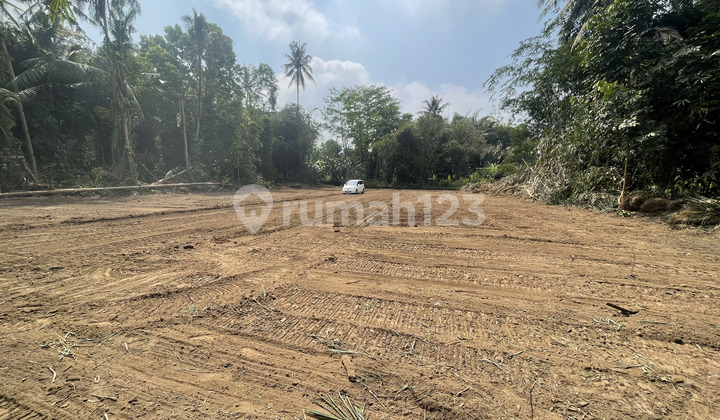 Tanah Harga 1 Jutaan Cuma 5 Menit Pemda Sleman Tanah Harga 1 Jutaan Cuma 5 Menit Pemda Sleman