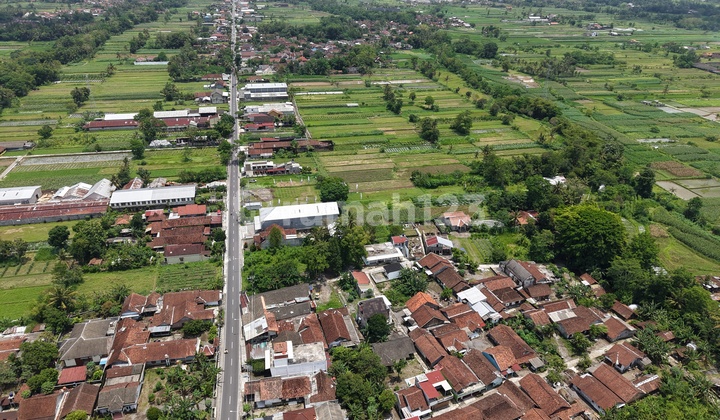SHM Land in Palagan Sleman, Beside Pandowoharjo Street, Near School Only 5 Minutes SHM Land in Palagan Sleman, Beside Pandowoharjo Street, Near School Only 5 Minutes