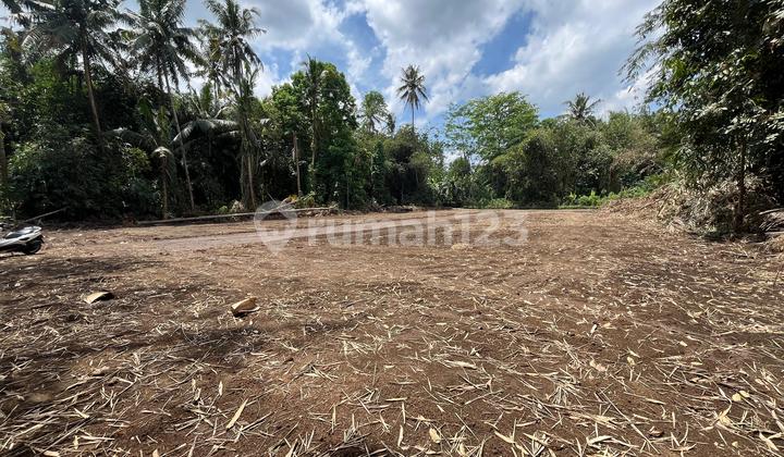 Tanah Strategis Grand Tridadi, Lokasi Sleman Barat Tanah Strategis Grand Tridadi, Lokasi Sleman Barat