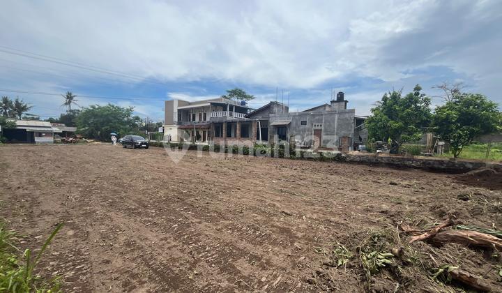 Tanah Shmp Strategis Green Palagan 3 Sleman, 2 Menit Dari Jejamuran Tanah Shmp Strategis Green Palagan 3 Sleman, 2 Menit Dari Jejamuran