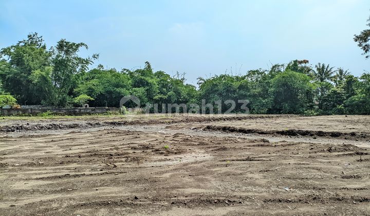 Land Near Kalasan Temple, Affordable Price 2 Million/m²