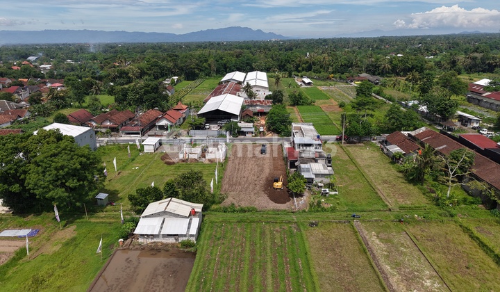 Tanah Kavling Green Palagan 3 Pandowoharjo Sleman, Legalitas SHM Pekarangan
